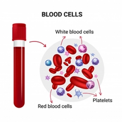 بررسی گلبول های سفید خون
